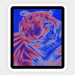 White Tiger from India - Red colour Sticker